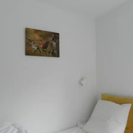 Triplex 244 